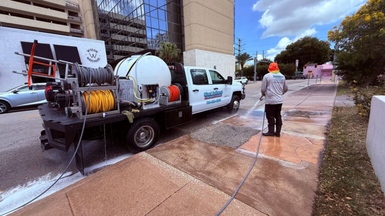 pressure washing professional services