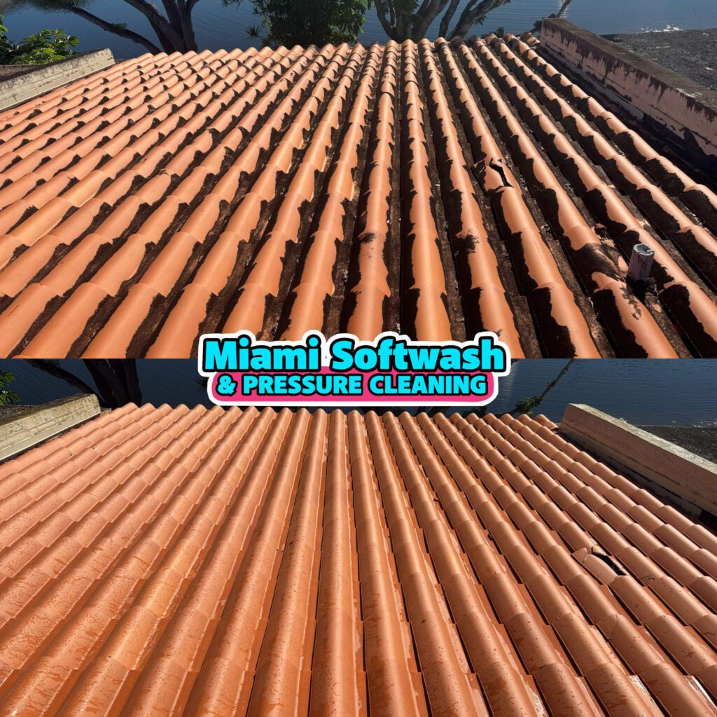 roof washing services in miami